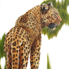 Ingwe-2 - 'Ingwe',  being the Zulu name for Leopard in Kwa Zulu Natal. South Africa 

Painted realistically,  in a modern form, from a photo taken in Kruger National Park

