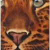 Close Up - A fun closeup of a young leopard - done in Oil.  The textured effect of the subject glistens under a spotlight.SOLD