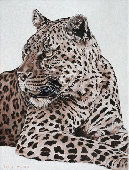 Leopard one - This handsome chap was painted from a photograph taken at Mashatu, Botswana.    I believe you should 'feel' the animal as you paint - so hope I have captured the element of his 'panting' in this one.SOLD