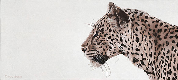 Leopard Watching - This was painted from photographs taken of a leopard in Mashatu, Botswana.   . . Further is a painting of the same leopard stalking its prey . . .SOLD