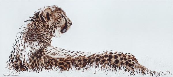 Catching the rays - Cheetah relaxing in the sun. Painted from photo courtesy of Cheetah rehabSOLD