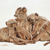 A very lazy day in Africa - Painting from a photograph taken in Kruger Park.SOLD