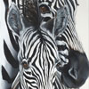 Me and my mum - Painted from photograph taken in Hluhluwe. Baby zebra are very fluffy for some months after birth.SOLD
