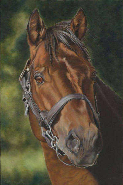 Lavery - A study of a Retired Race Horse, way past his primeSOLD