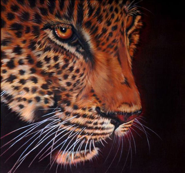 Leopard in the shadows of night - SOLD