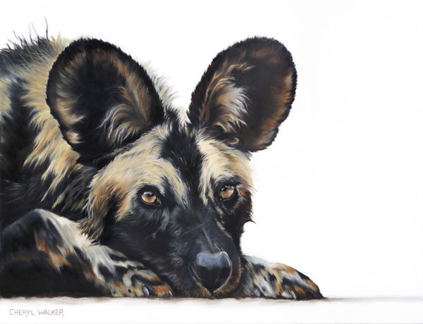 Hes my Brother - 'African Wild Dog', alternatively known as the Painted Dogs.
They roam in packs and it is unusual to spot one on its own like this little guy that's why I thought he deserved the name He's my Brother.

SOLD