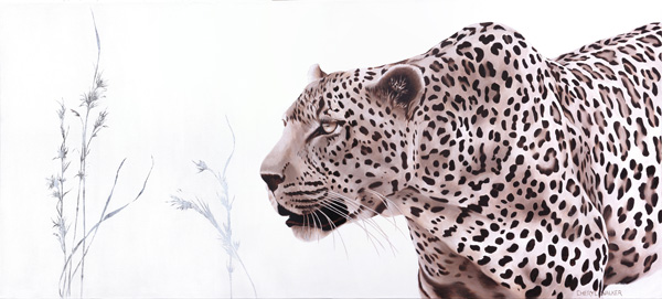 Stalking - Painted from a photograph of a leopard crouching, stalking it's prey
SOLD