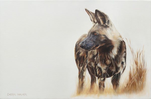 Rare Solitude - Wild dogs live in packs.  This photograph was a rare occurence.  Beautiful to paint.SOLD